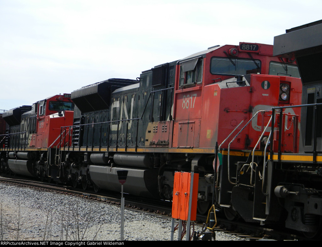 CN 8817 